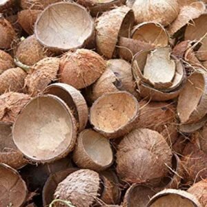Raw Coconut Shells